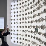 Jepang menggunakan kerangka karang buatan Arab Saudi dari pameran untuk konservasi laut